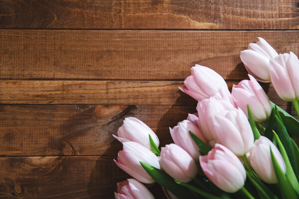 Красивые розовые цветы тюльпан на деревянной доске