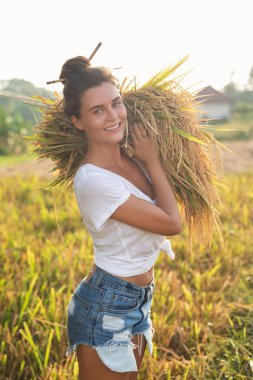 Ekoloji ya da günlük çalışma. Pirinç tarlasında hasat sırasında mutlu bir çiftçi kadın.