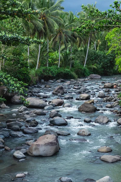 Piękna Górska Rzeka Kamieniami Palmami Brzegu — Zdjęcie stockowe