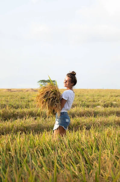 Ecotourism or daily work. Happy woman farmer during harvesting on the rice field