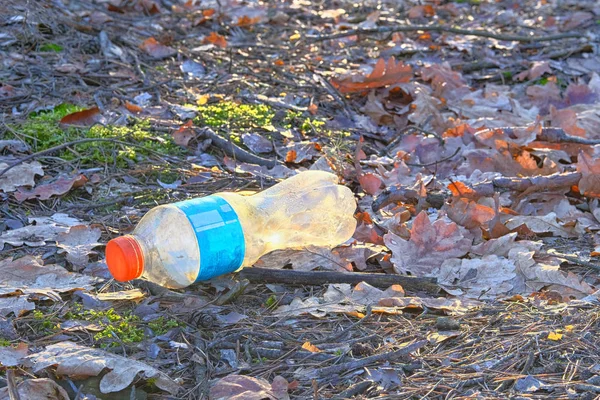 Environmental Pollution Household Waste Brown Leaves Lying Plastic Bottle Forest — Stock Photo, Image