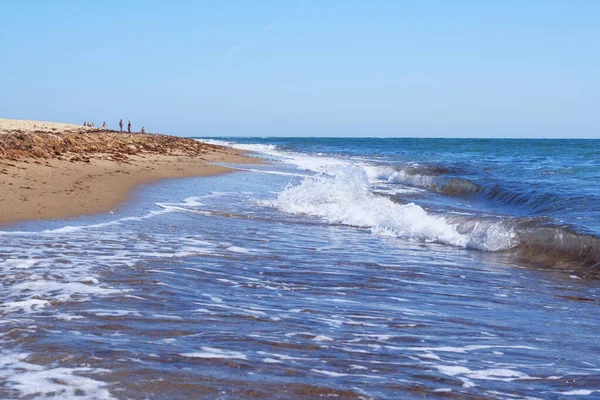 Tatil ve yazın seyahat. Deniz manzarası, deniz kabuklarıyla kumlu plaj. Denizde kumlu sahilde dalgalar.