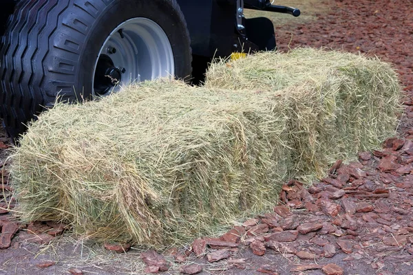 Hay Straw Next Truck Hay Cows Horses Goats Sheep Agricultural — Stock Photo, Image