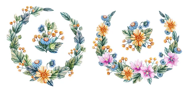 Watercolor wreaths of wildflowers. — Stock Photo, Image