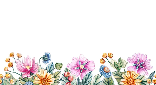 Patrón horizontal sin costuras de flores silvestres . Imagen de stock