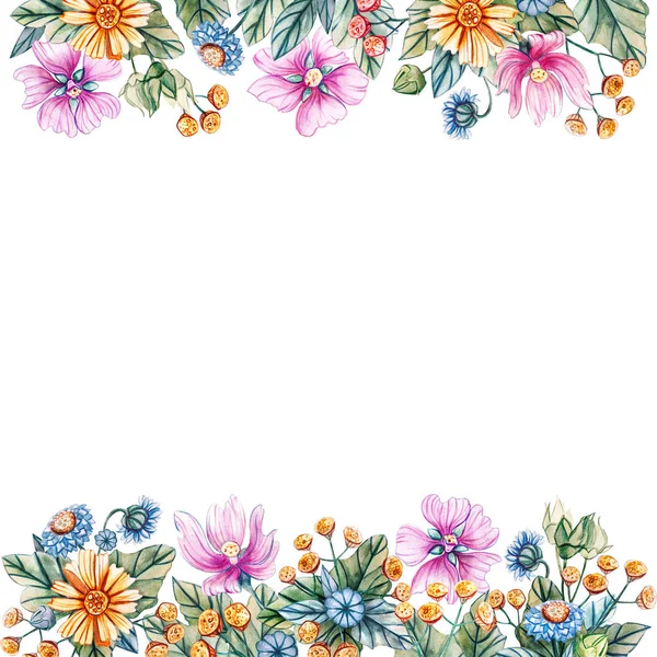 Floral square frame of watercolor wildflowers. Stock Image