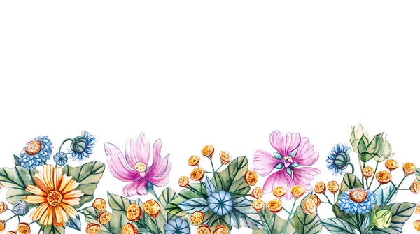 Seamless horizontal pattern of wildflowers. Stock Photo