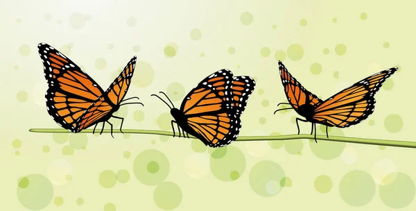 Schmetterling Motte Vektor Monarch orange Insekt flattern — Stockvektor