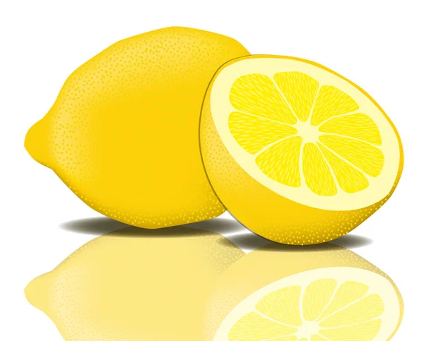 Agrumi al limone Vettore Agrumi al limone Sud Mediterraneo Acido — Vettoriale Stock