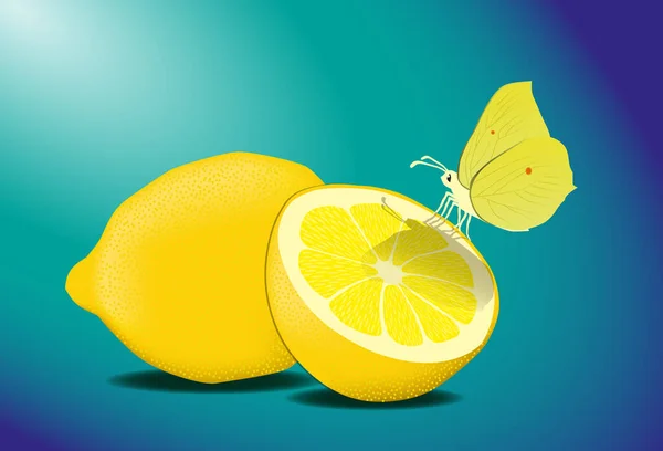 레몬에 있는 아주 예쁜 노란 연지벌레 위에 있는 백옥 나비 — 스톡 벡터