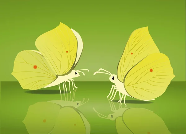 Schwefel Schmetterling Motte Insekt ziemlich zierlich gelb — Stockvektor