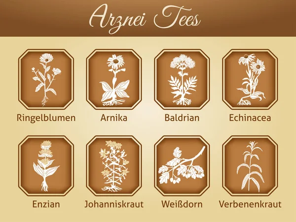 Ilustración de diferentes variedades de té como vector — Vector de stock