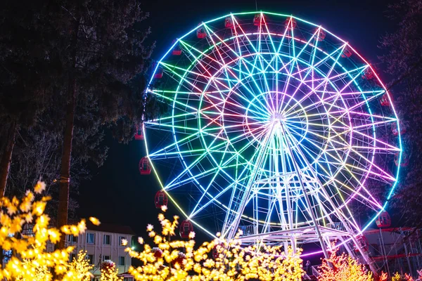Luminous Ferris Wheel Night Neon Lit Amusement Park Night — Stock Photo, Image