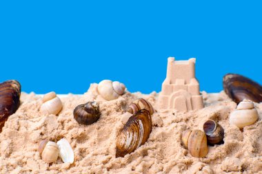 Deniz kabukları, altın kum, mavi arka planda kumdan kaleler. Yakın plan tasarım için boş. tatil ve seyahat kavramı