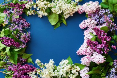 Mavi arkaplana yayılmış leylak çerçeve, metin için yer ile düz yatıyordu. doğal arkaplan