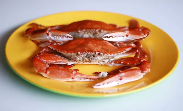 Boiled crab on white background.