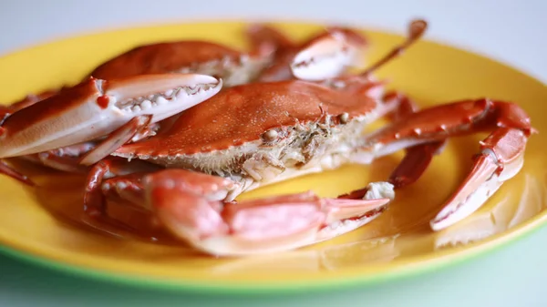 Boiled crab on white background.