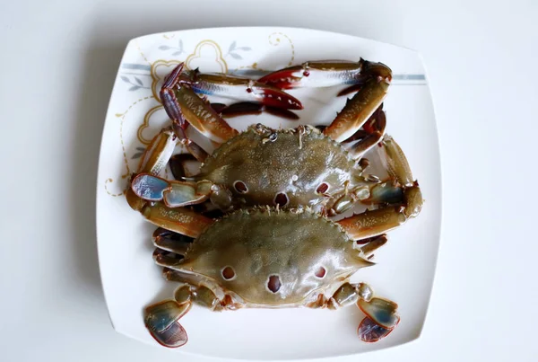 Sea crab on white background. Ready to be cooked.