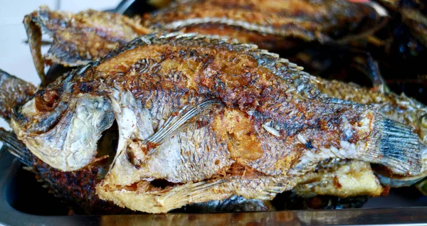 Pescado Tilapia Mozambique Frito Listo Para Comer — Foto de Stock