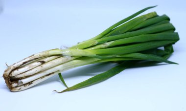 Beyaz arka planda deniz tarağı ya da daun bawang.