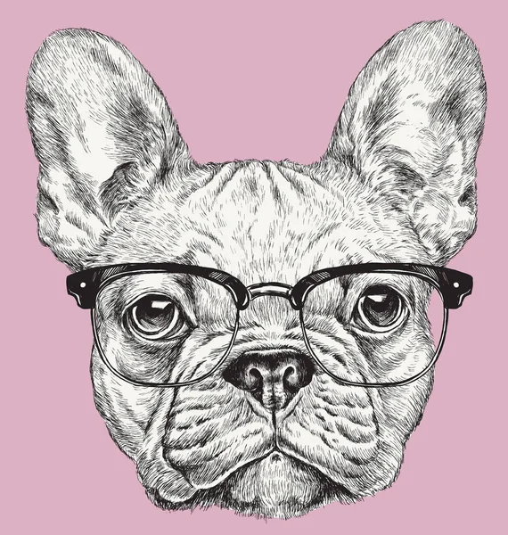 Hipster Geek Franse Bulldog vectorillustratie — Stockvector