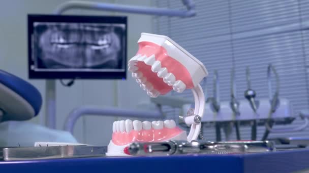 Tooth model against the backdrop of a panoramic X-ray at the dentists office — Stock Video