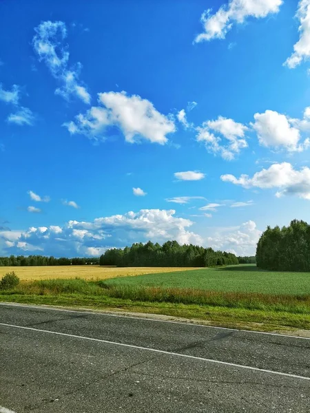 Buğday kulakları ve mavi bulutlu gökyüzü manzarası