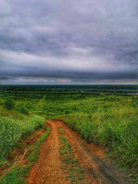 Dramático Día Verano Sobre Campo Hierba Verde — Foto de Stock