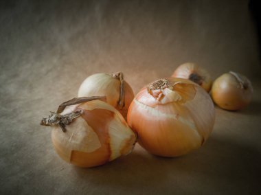 Kağıttaki soğanlar. Bahar berisi. Seçmeli odaklanma. Kapatmak için