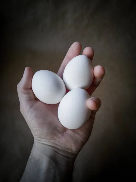 生鸡蛋的特写 黑暗背景下的蛋 图库图片