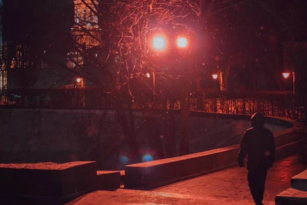 Lichter Bei Nacht Abendpark Winter — Stockfoto