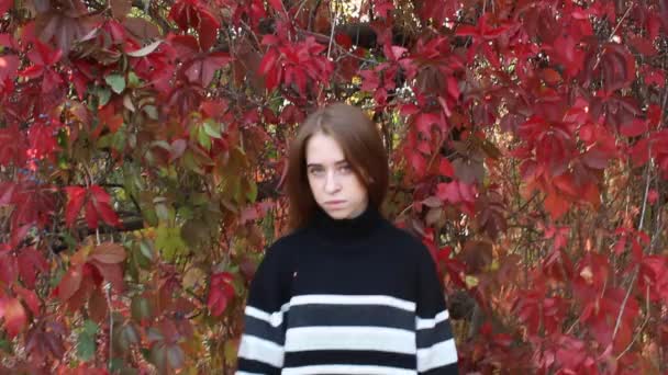 Schöne Mädchen Und Herbstblätter — Stockvideo