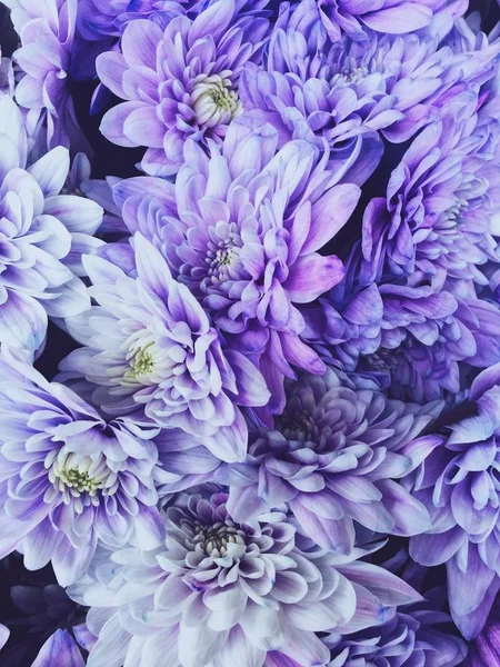女の子とお母さんのための3月8日の贈り物 市場での花束 紫色の花 — ストック写真