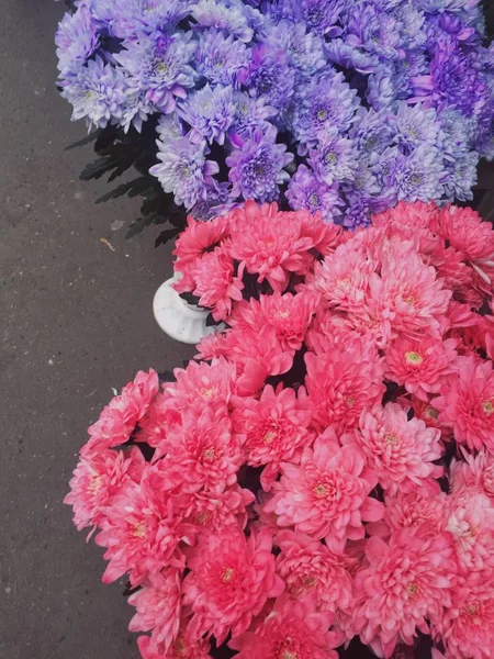 Regali Marzo Bambine Mamme Bouquets Nel Mercato Fiori Rosa Viola — Foto Stock