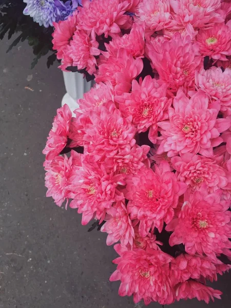 Подарки Марта Девочек Мам Букеты Рынке Розовые Цветы — стоковое фото