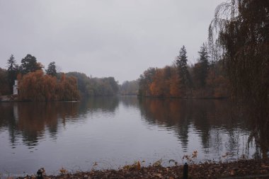 Sonbaharda göl. Turuncu Orman