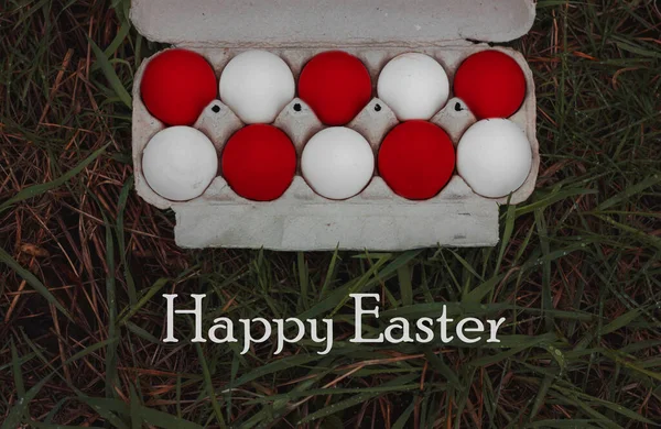 Червоні Білі Яйця Коробці Зеленій Траві Великодній Фон — стокове фото