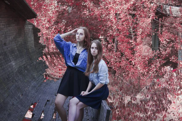 Портреты Двух Красивых Девушек Улице Осенью Искусство Обработки — стоковое фото