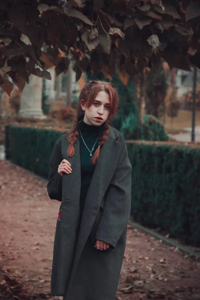 Portrait Une Belle Fille Avec Des Tresses Dans Parc Automne — Photo