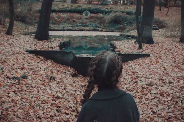 Девочка Косичками Фоне Осеннего Парка Озеро Желтые Листья — стоковое фото