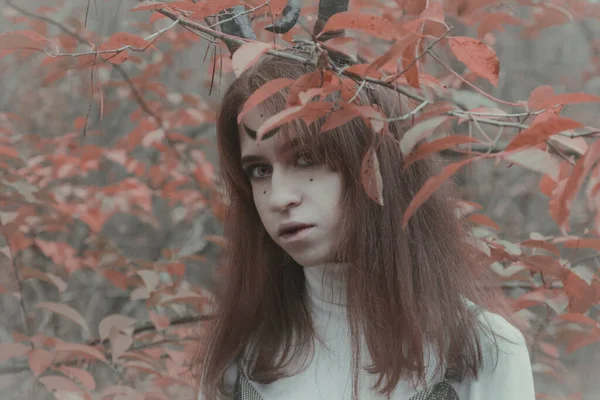 Fille Sombre Avec Des Cornes Dans Forêt Image Halloween — Photo