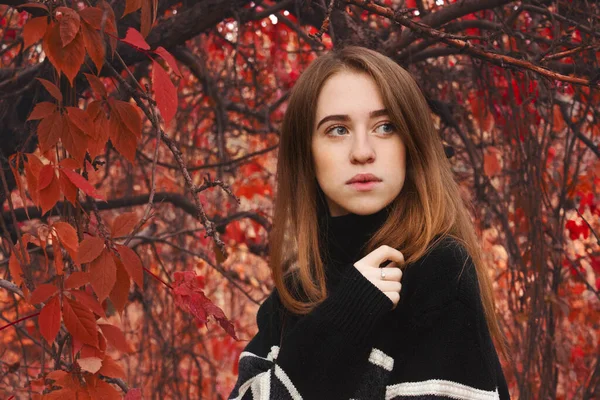 Ritratto Una Ragazza Elegante Alla Moda Nel Parcheggio Ragazza Una — Foto Stock