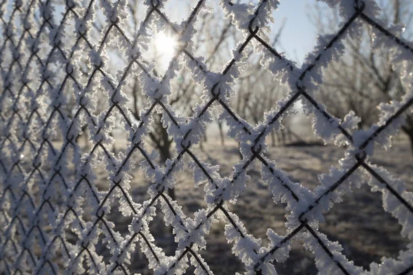 Gard cu rime — Fotografie, imagine de stoc