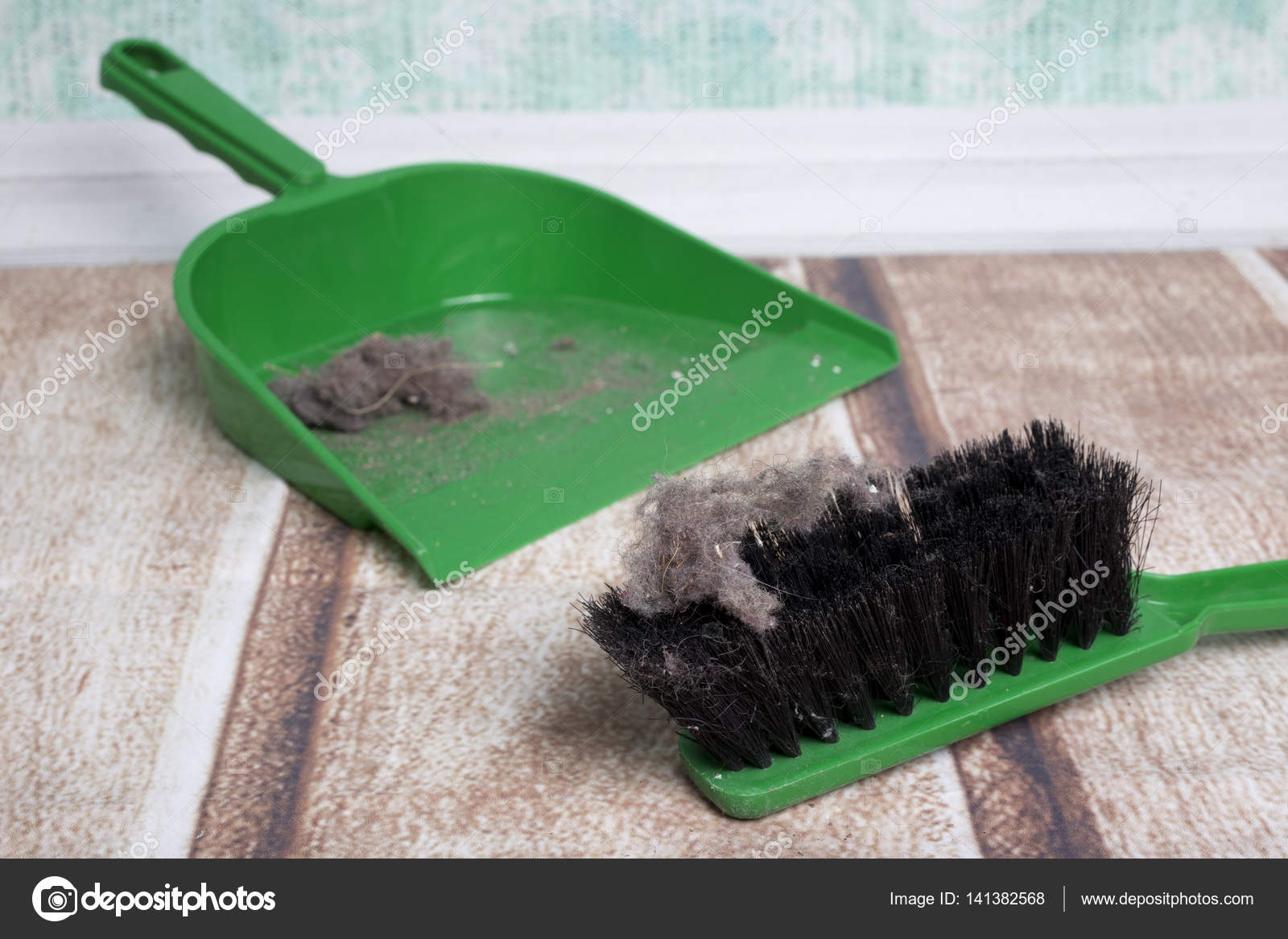 Common House Dust Stock Photo By C Taborsky Common House Dust Stock Photo By C Taborsky