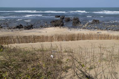 Tayvan 'ın kuzey kıyısı, Pasifik Okyanusu, doğa.
