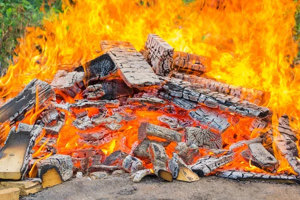 Yeşil bitki arka plan kumla ateşin ortasına