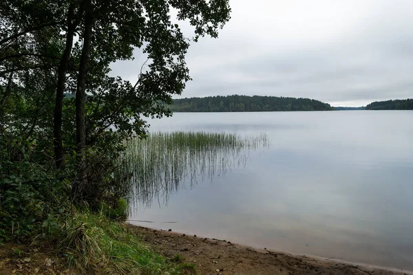 Karelischen See am Morgen (Wasserspiegel, Gras, Bäume und San — Stockfoto