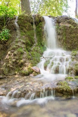 (Krushuna, Bulgaristan) 6 ormandaki küçük şelaleler bir çağlayan