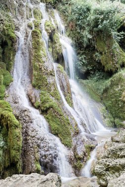 Küçük bir şelale orman (Krushuna, Bulgaristan) 3