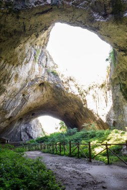 Mağara witn (Bulgaristan, Devetashka Ca damda bir delik içinde